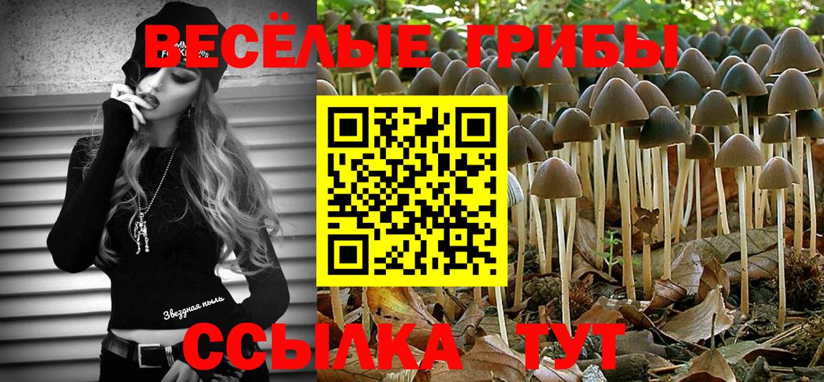 Галлюциногенные грибы MAGIC MUSHROOMS Когалым