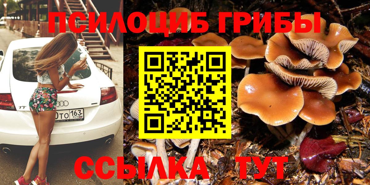 Псилоцибиновые грибы Cubensis  Вход с VPN  Галлюциногенные грибы прущие грибы  Когалым 